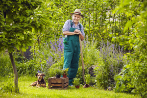Eine ältere Person in grüner Schürze steht in einem Garten mit einer Schaufel, neben einer Holzkiste mit Pflanzen und einem Hund, der im Gras sitzt.