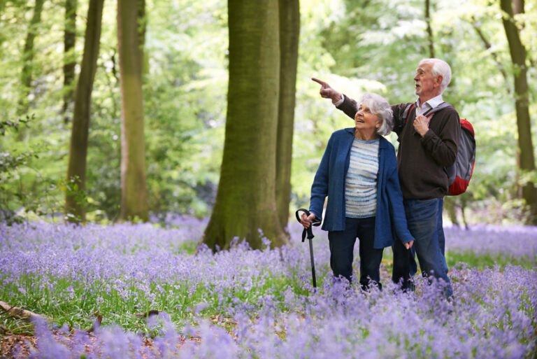 Ein älteres Ehepaar steht in einem Wald mit violetten Blumen; die Frau benutzt einen Stock, und der Mann mit einem Rucksack zeigt auf etwas in den Bäumen.