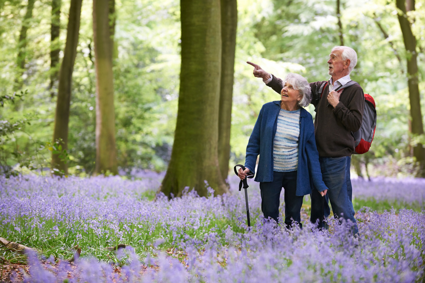 Ein älteres Ehepaar steht in einem Wald mit violetten Blumen; die Frau benutzt einen Stock, und der Mann mit einem Rucksack zeigt auf etwas in den Bäumen.