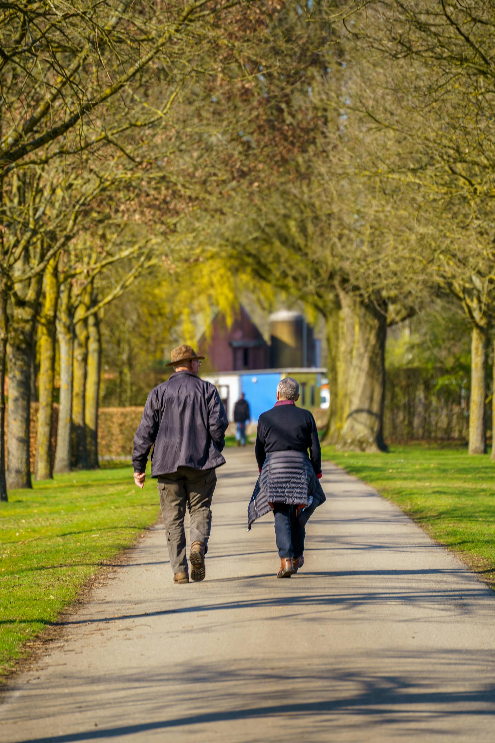 A couple walking leisurely down a tree-lined path in Grobbendonk, Belgium, during spring.