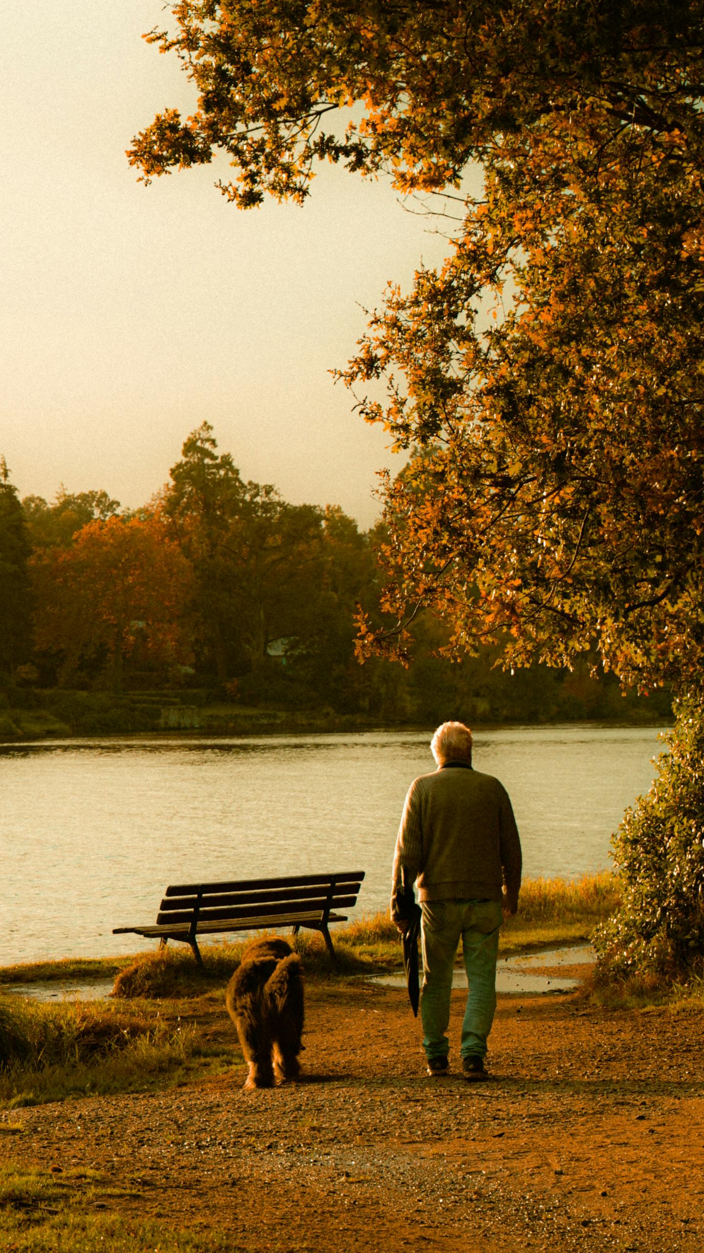 Elderly man walks his dog by a serene lake in a park during fall.